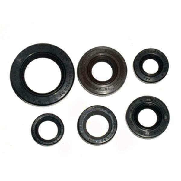 Outlaw Racing Engine Oil Seal Kit OR4194